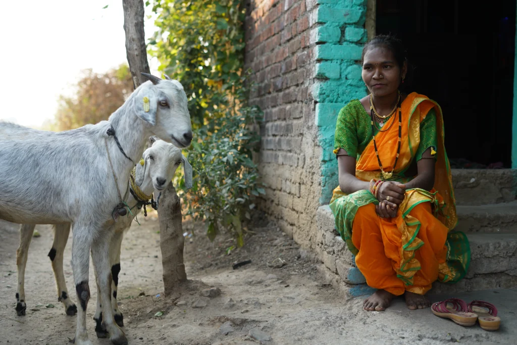 Integrated Livestock Development