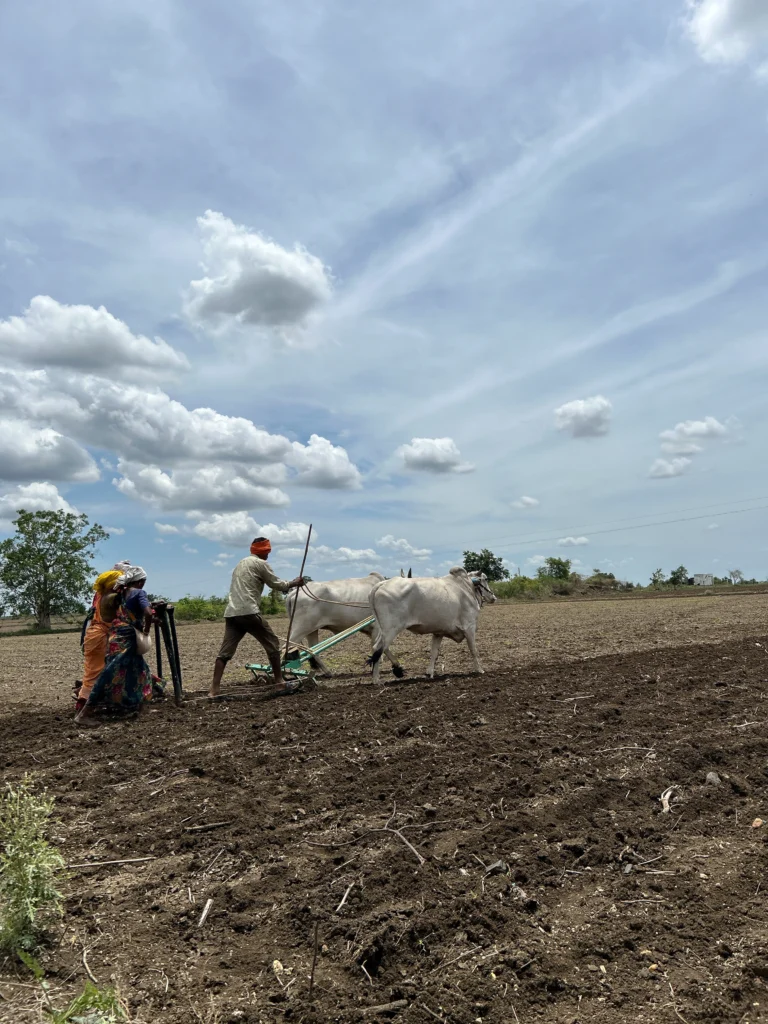 Sustainable Climate Resilient Agriculture